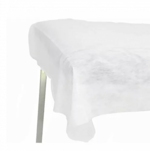 SEM ELÁSTICO Lençol TNT C/10 (2,10 x 0,90) - PROTDESC - Imagem 2